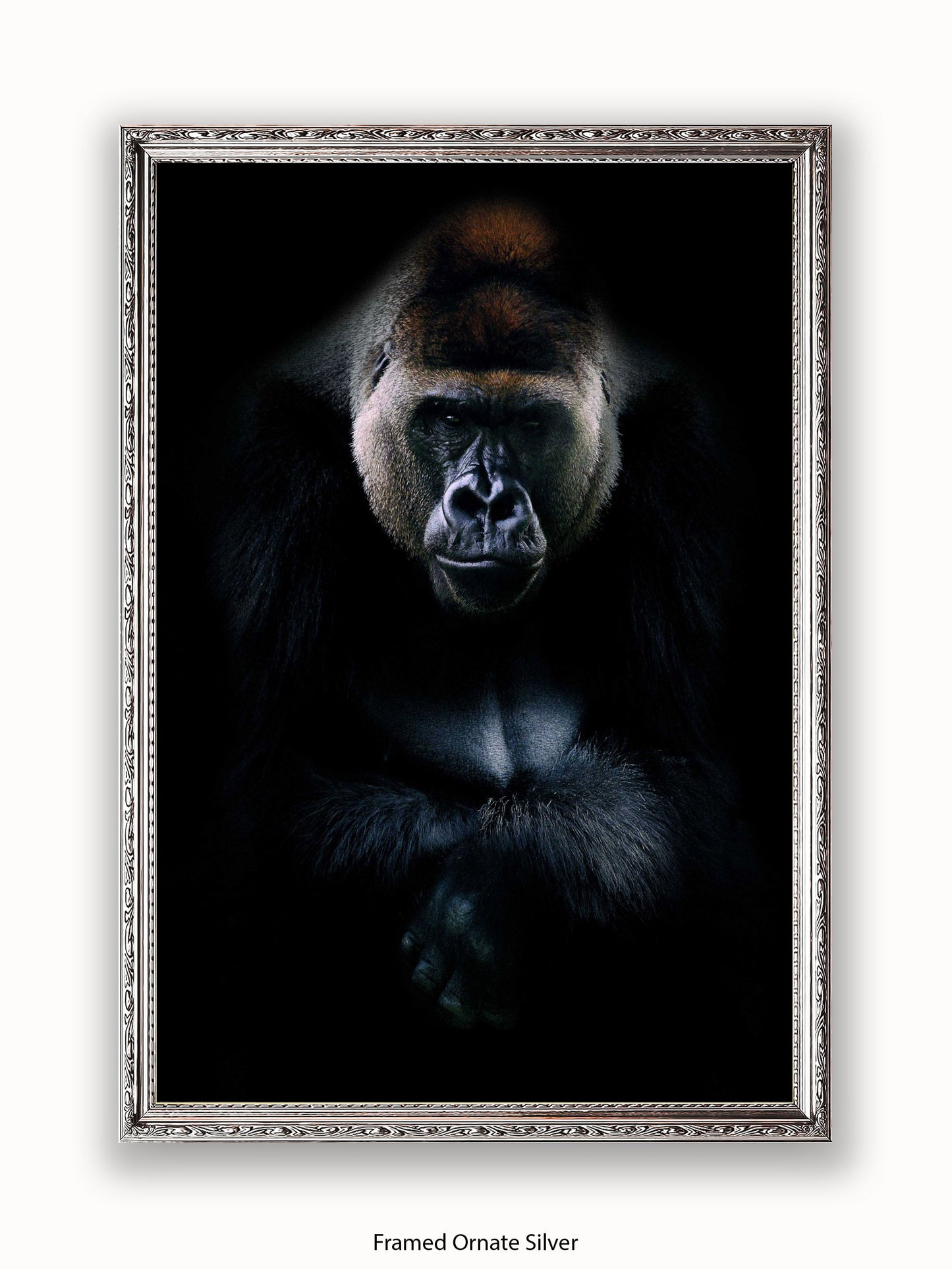 Gorilla Kings Of Nature Poster