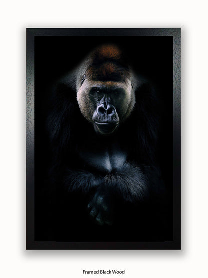Gorilla Kings Of Nature Poster