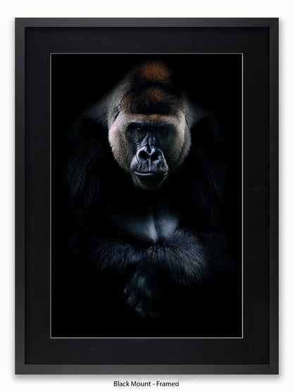 Gorilla Kings Of Nature Poster