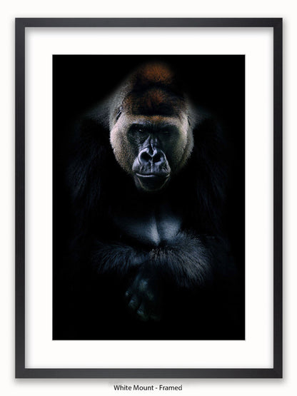 Gorilla Kings Of Nature Poster