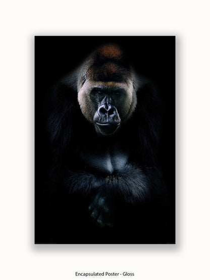 Gorilla Kings Of Nature Poster