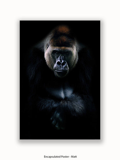 Gorilla Kings Of Nature Poster