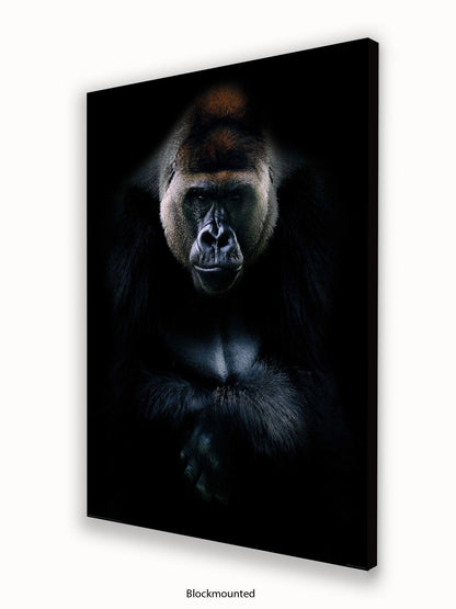 Gorilla Kings Of Nature Poster