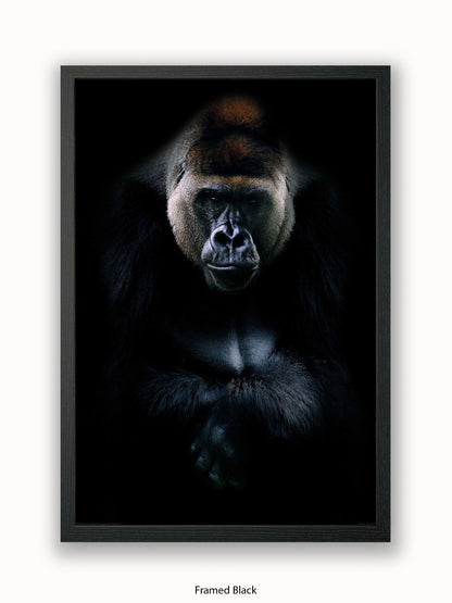 Gorilla Kings Of Nature Poster