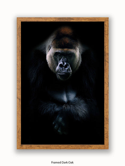 Gorilla Kings Of Nature Poster