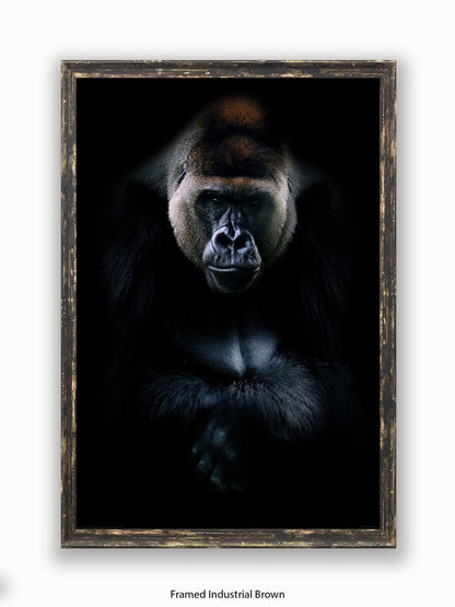 Gorilla Kings Of Nature Poster