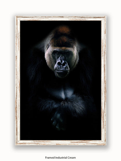 Gorilla Kings Of Nature Poster