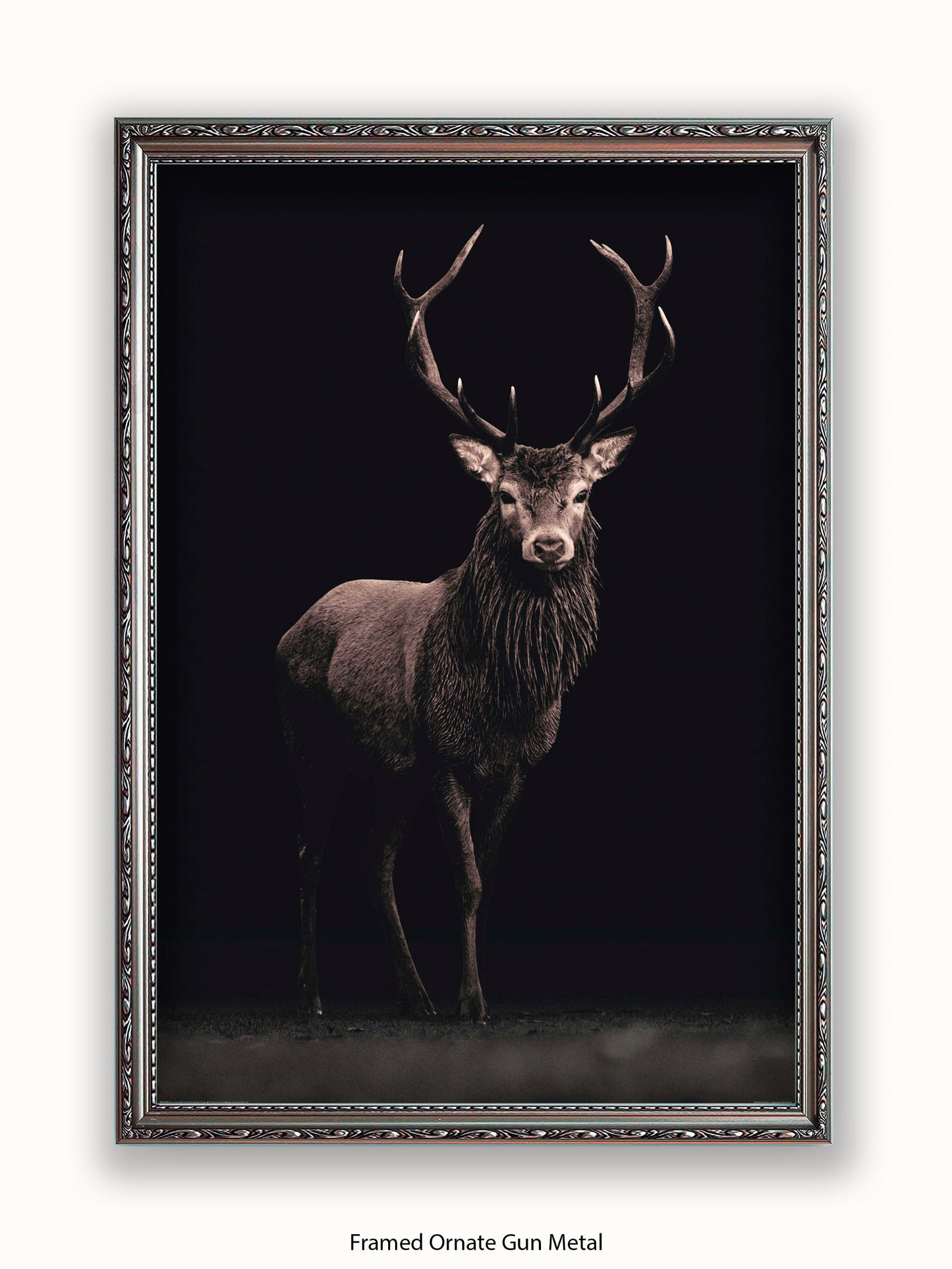 Highland Stag Black Background Poster