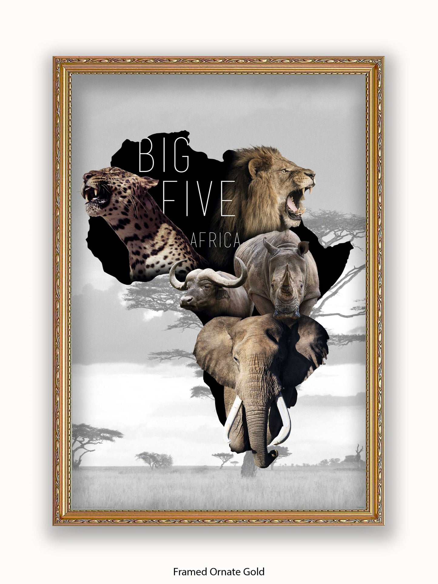 African Animals The Big Five Poster