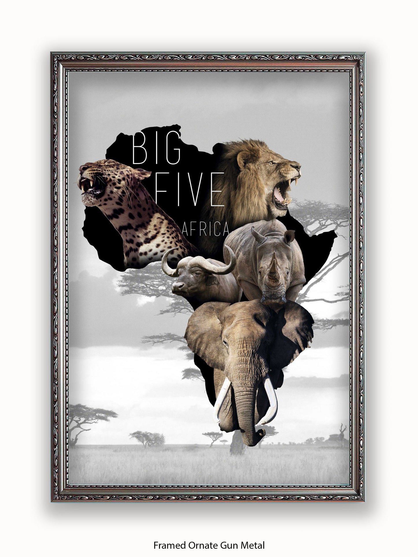 African Animals The Big Five Poster