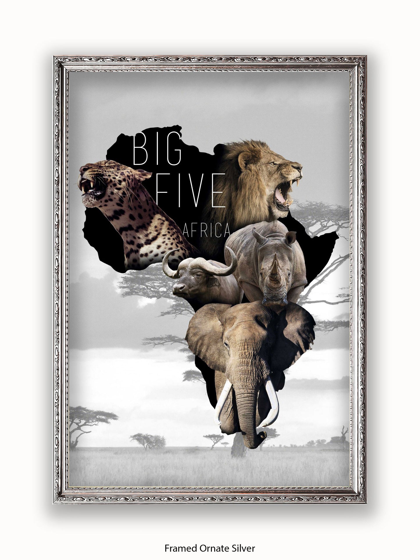 African Animals The Big Five Poster