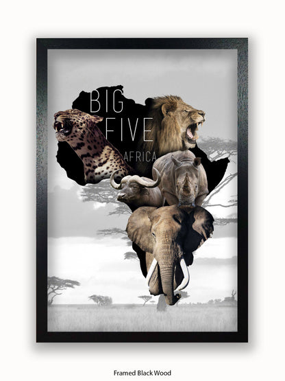 African Animals The Big Five Poster
