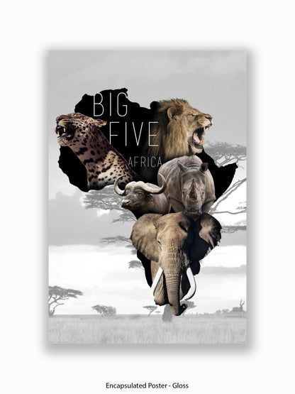 African Animals The Big Five Poster