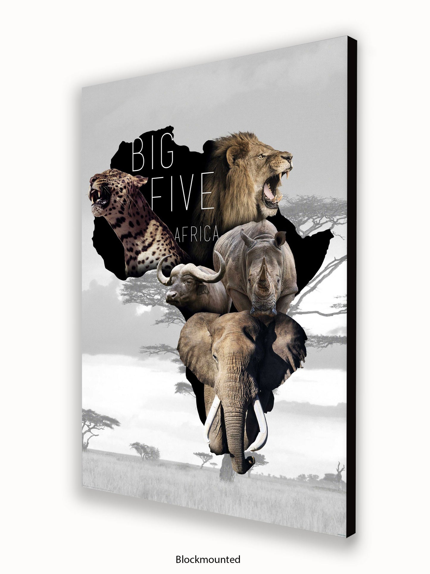 African Animals The Big Five Poster