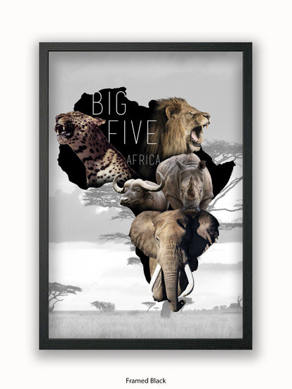 African Animals The Big Five Poster