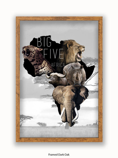 African Animals The Big Five Poster