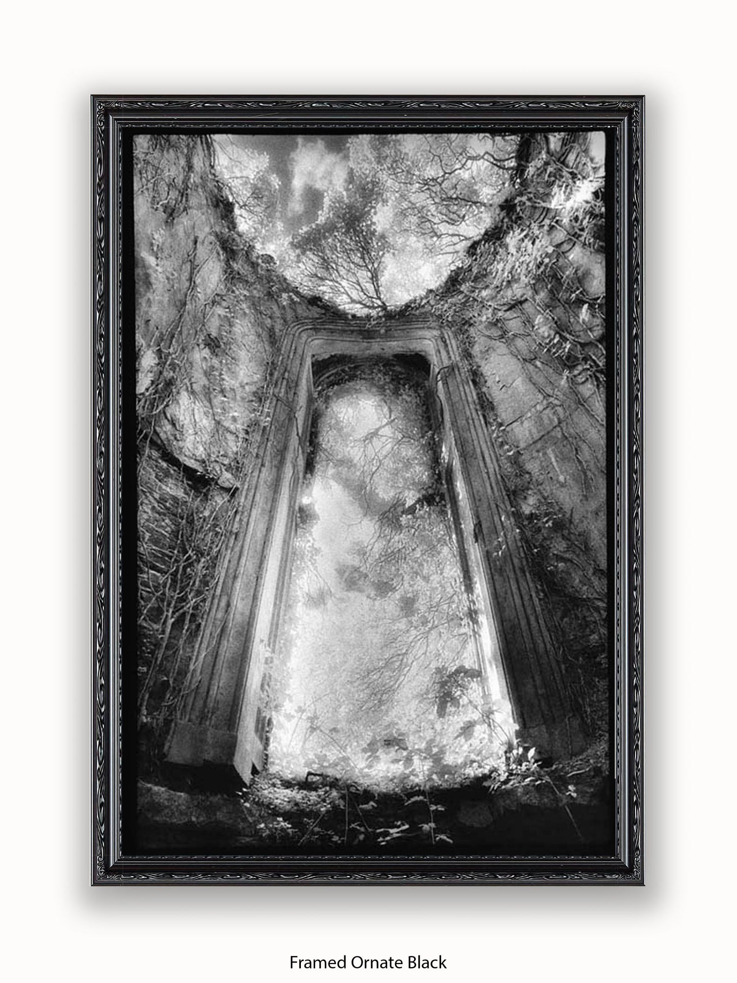 Gothic Doorway Poster