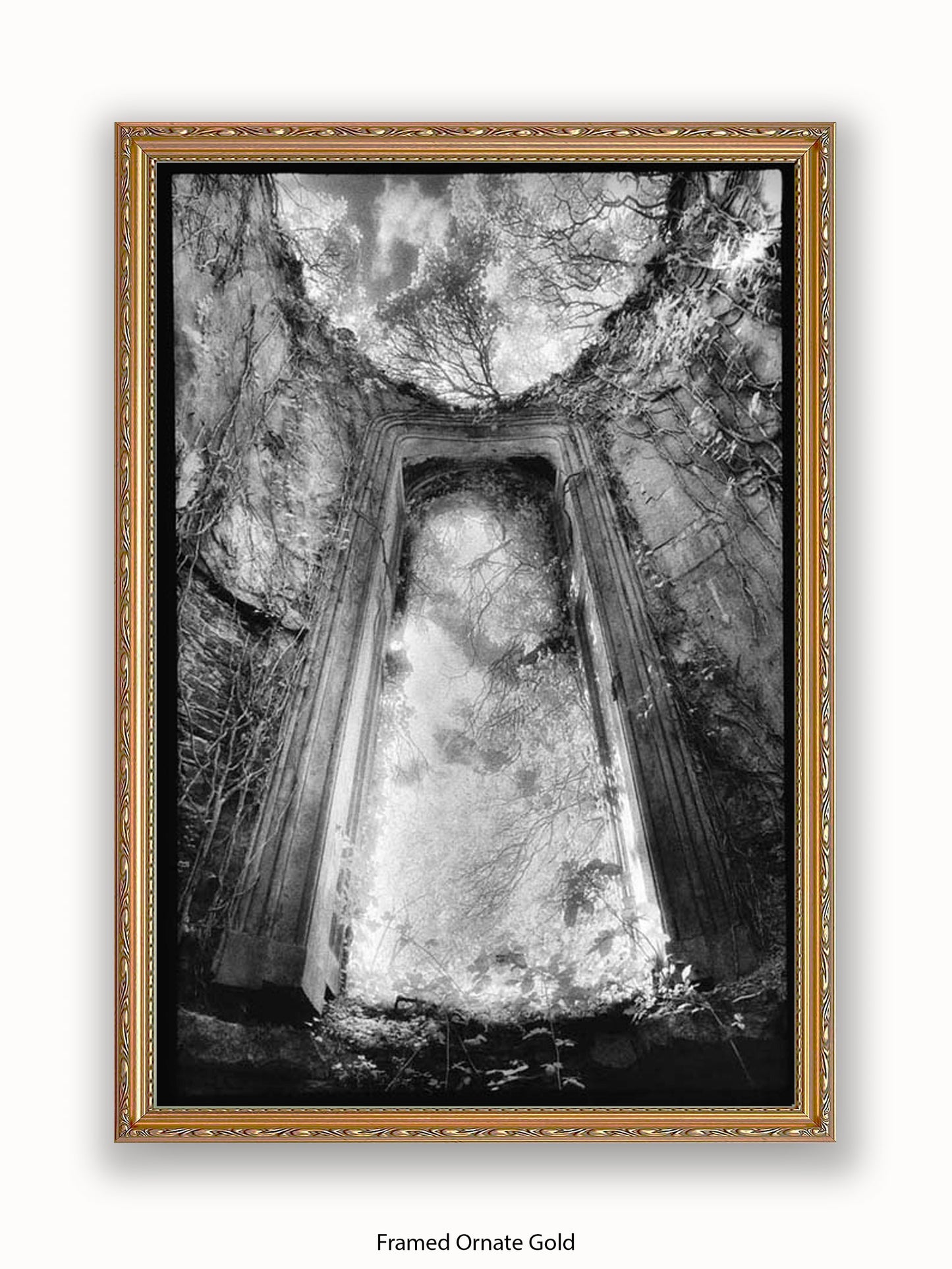 Gothic Doorway Poster