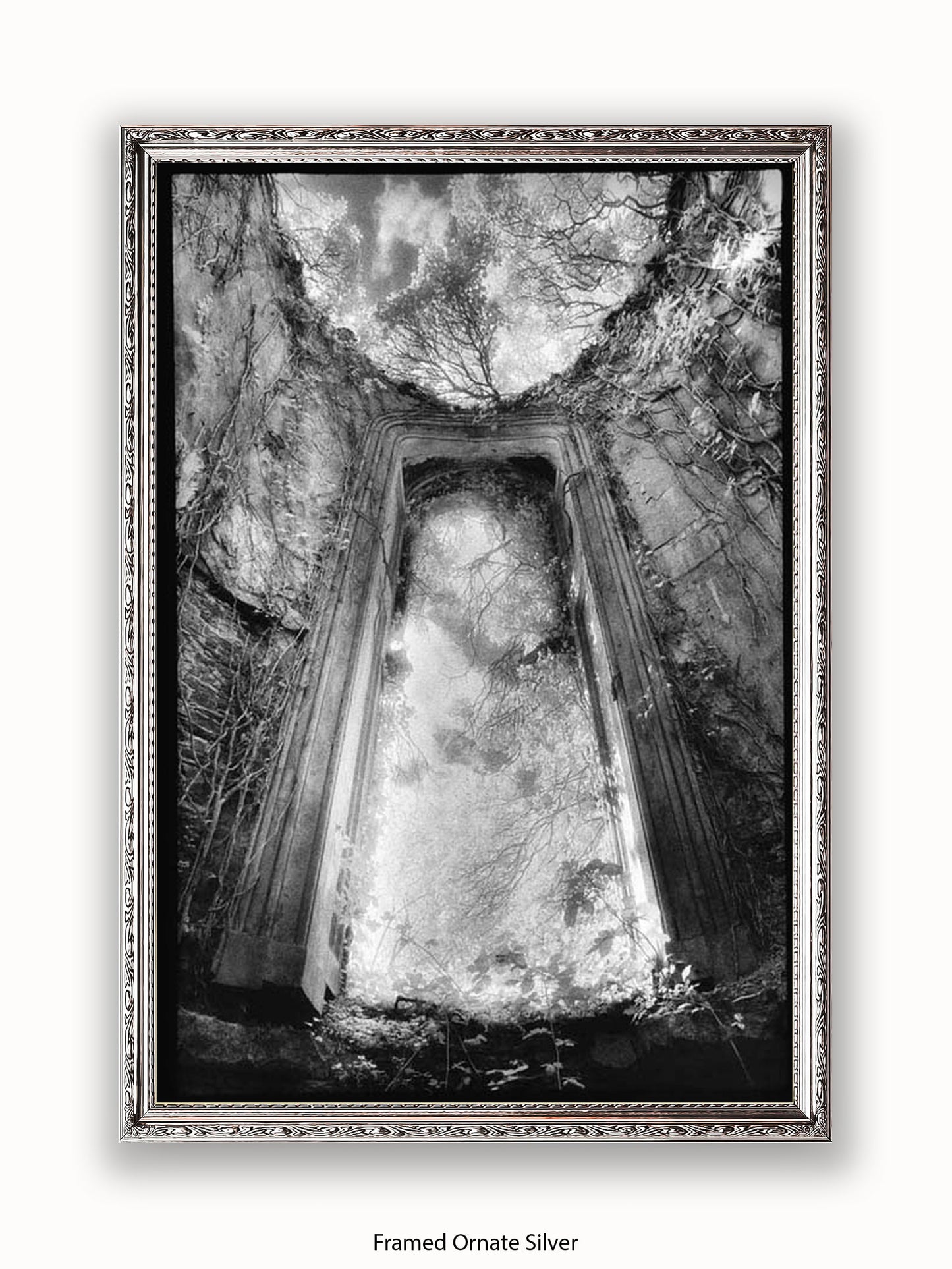 Gothic Doorway Poster