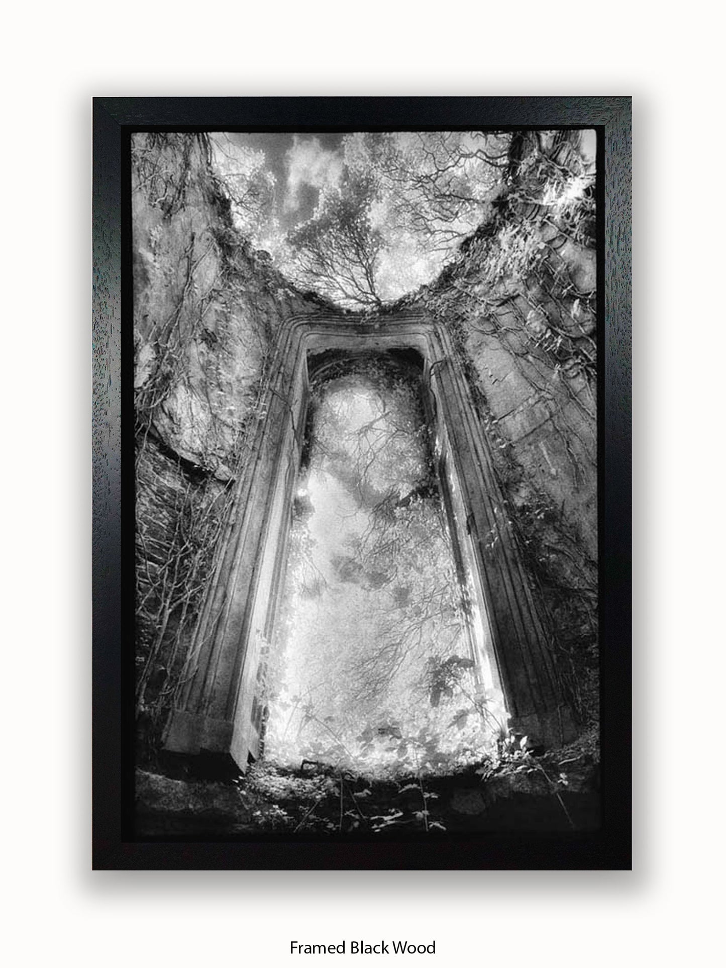 Gothic Doorway Poster