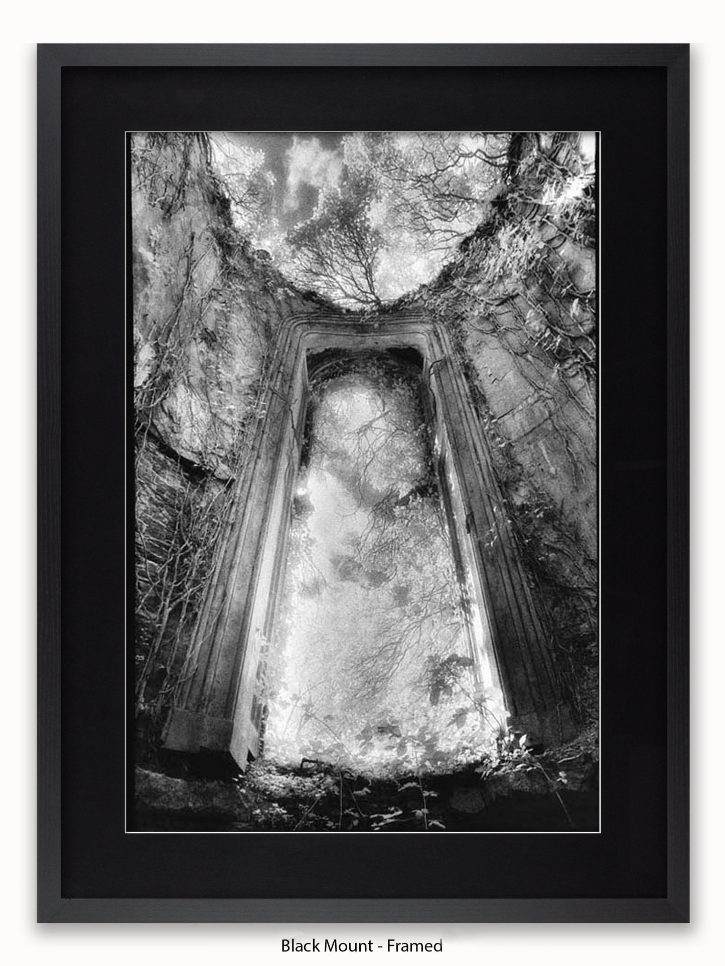 Gothic Doorway Poster
