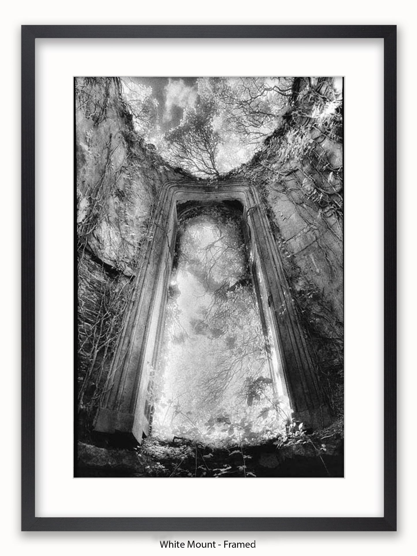 Gothic Doorway Poster