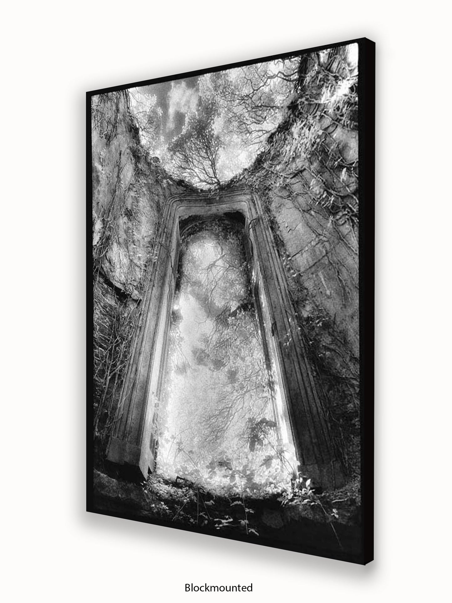 Gothic Doorway Poster