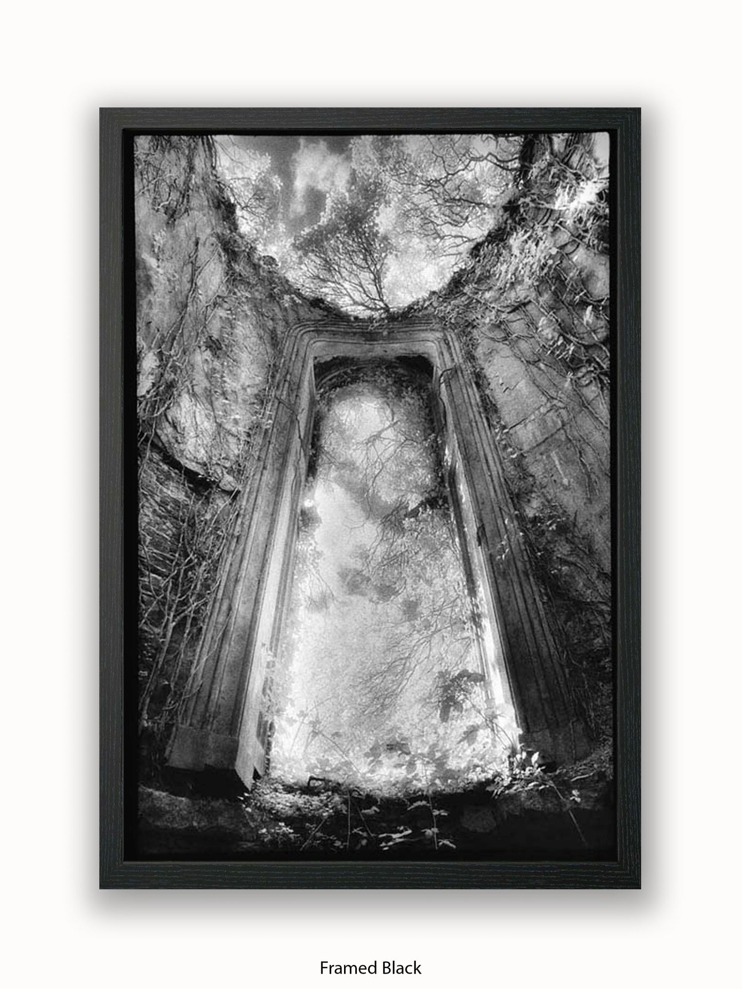 Gothic Doorway Poster