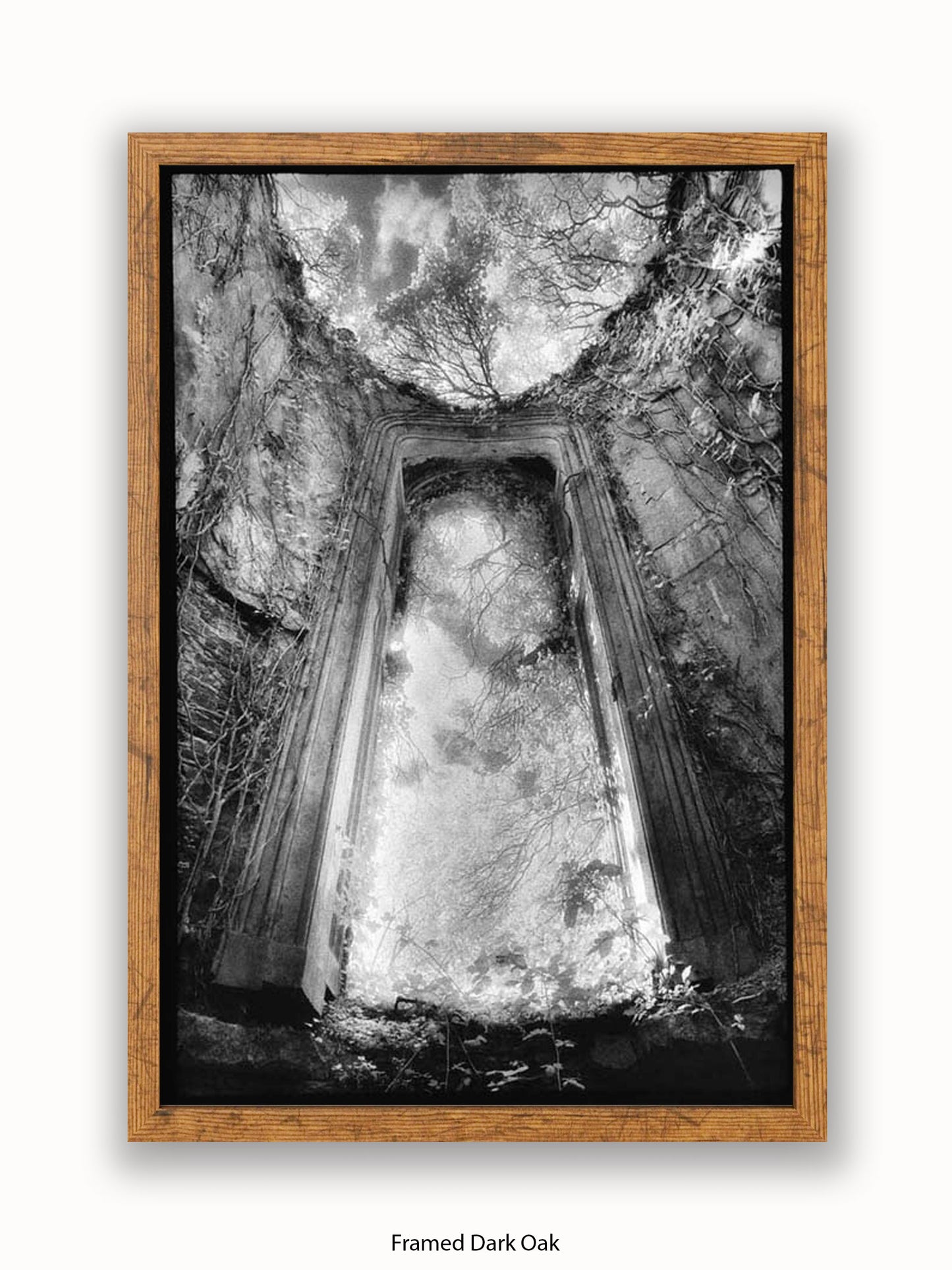 Gothic Doorway Poster