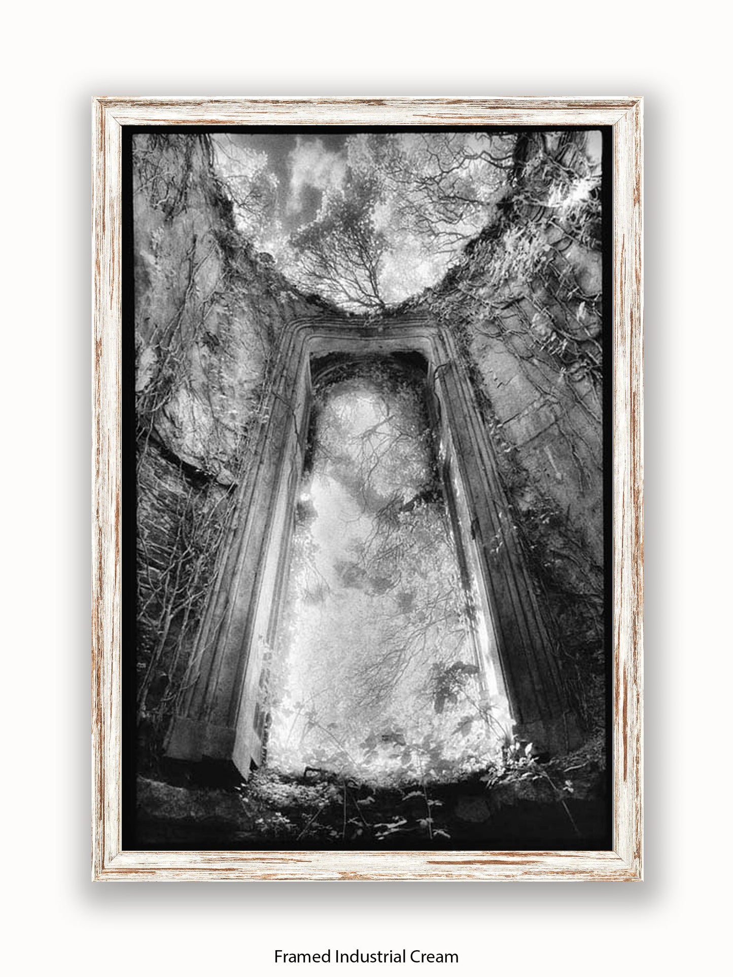 Gothic Doorway Poster