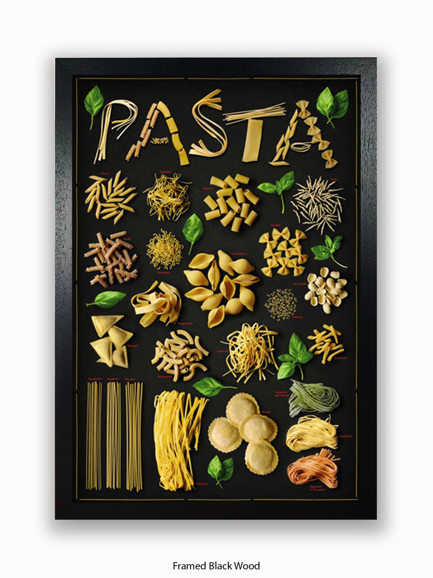Pasta Types Poster