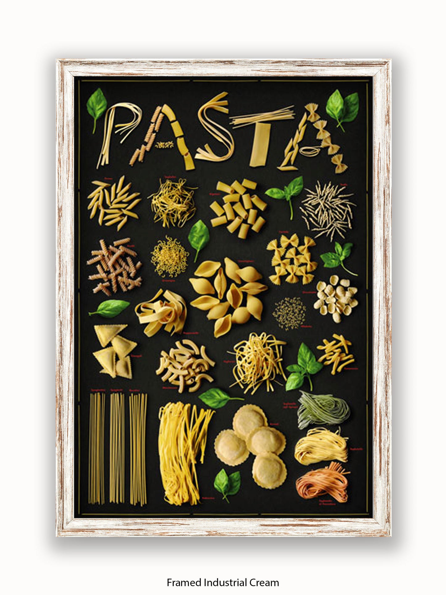 Pasta Types Poster