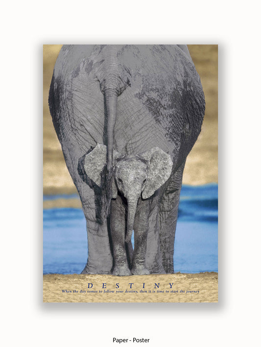 Elephants Destiny Poster