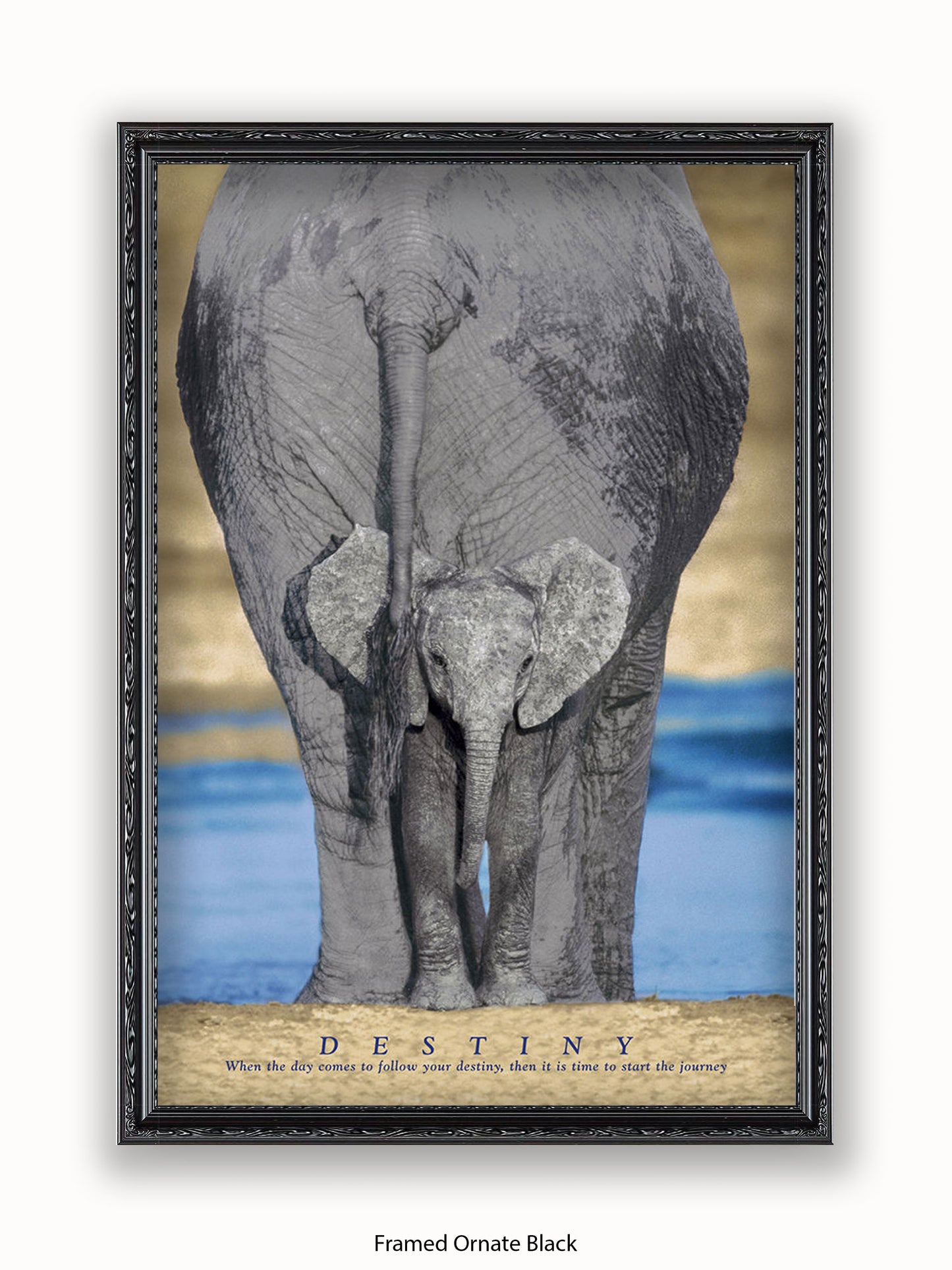 Elephants Destiny Poster
