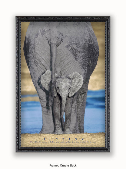 Elephants Destiny Poster