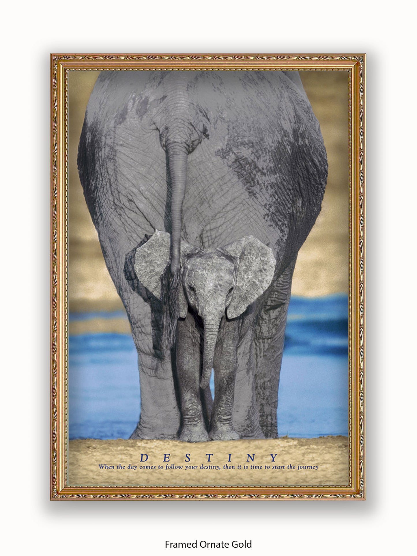 Elephants Destiny Poster