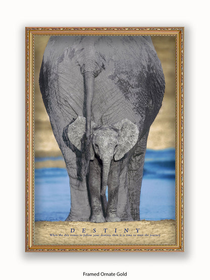 Elephants Destiny Poster