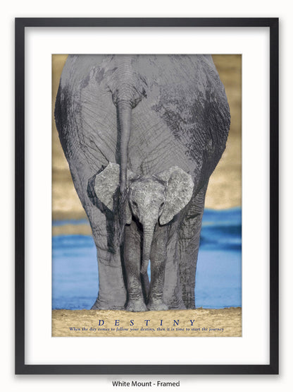 Elephants Destiny Poster