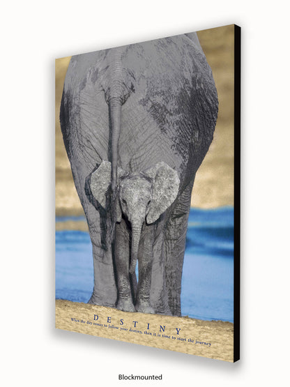 Elephants Destiny Poster