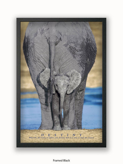 Elephants Destiny Poster