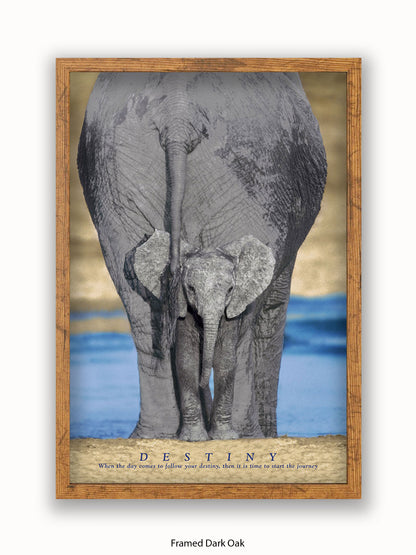 Elephants Destiny Poster