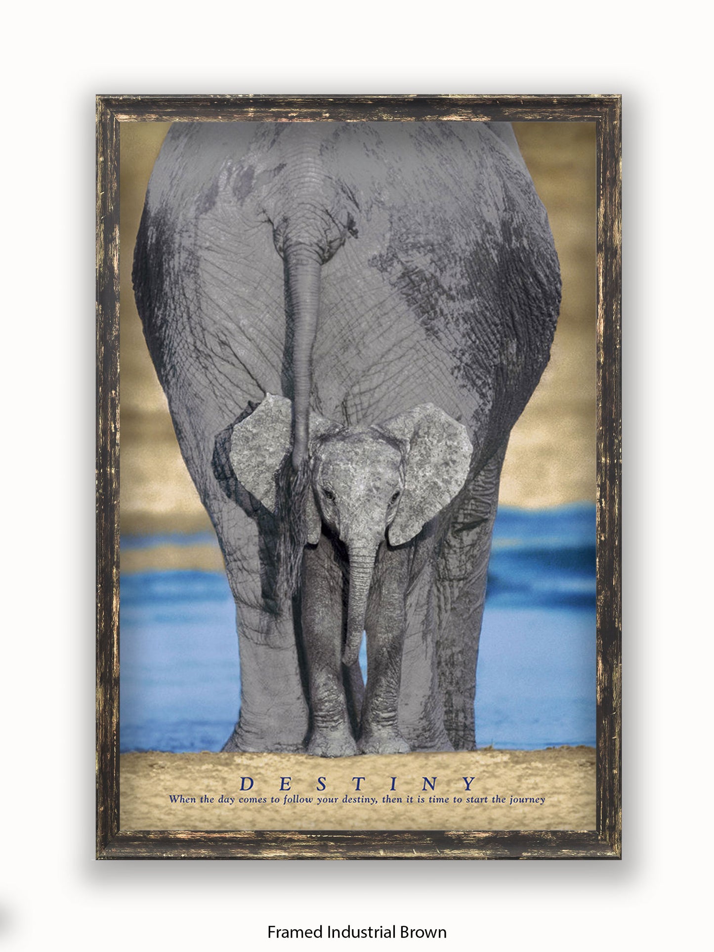 Elephants Destiny Poster
