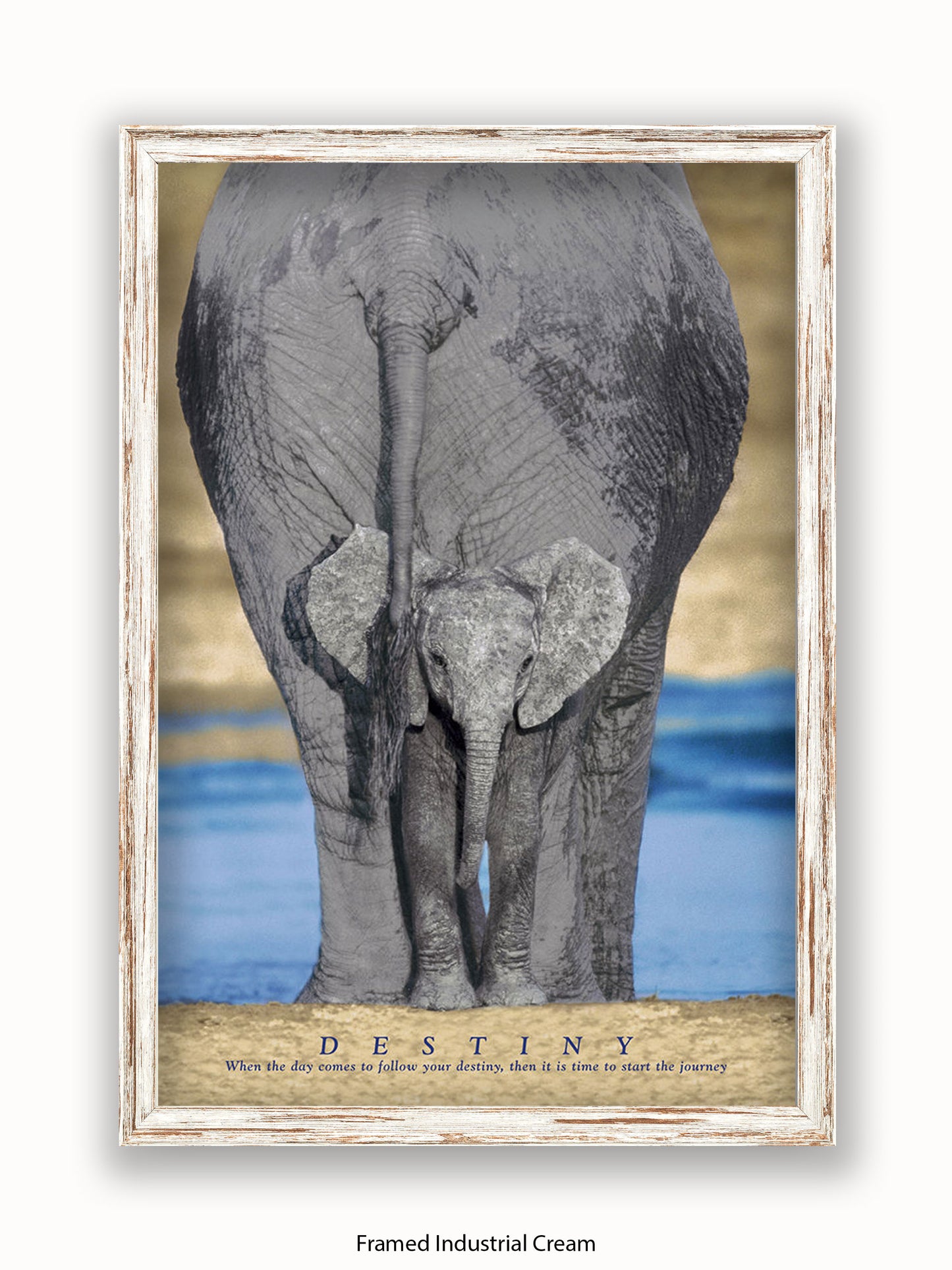 Elephants Destiny Poster