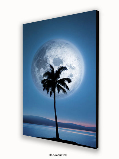 Dreamland Moonlight Palm Tree Poster
