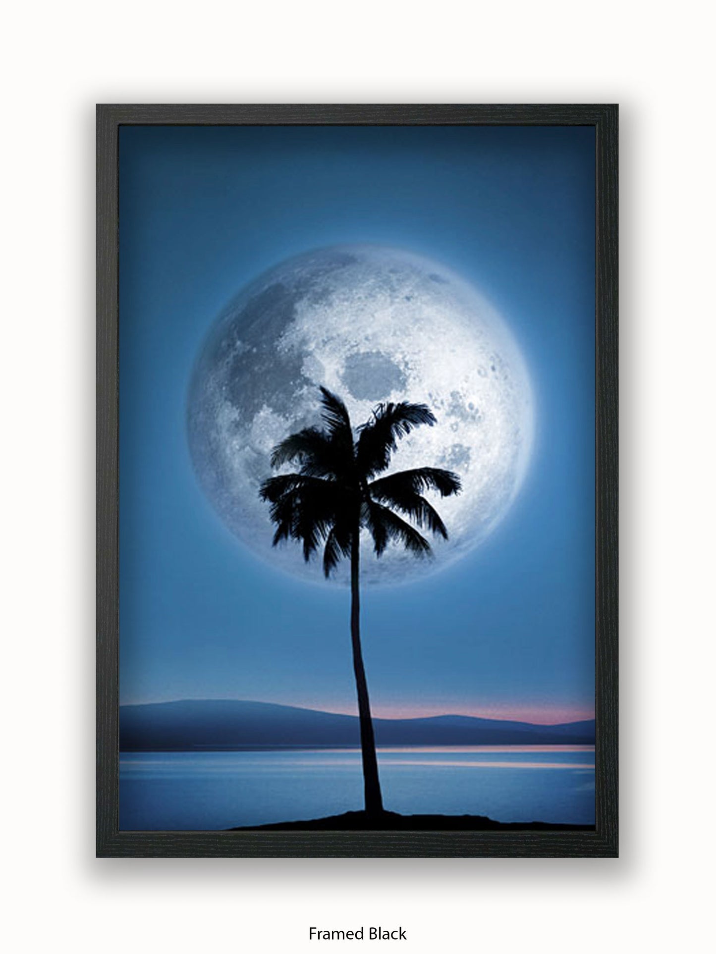 Dreamland Moonlight Palm Tree Poster