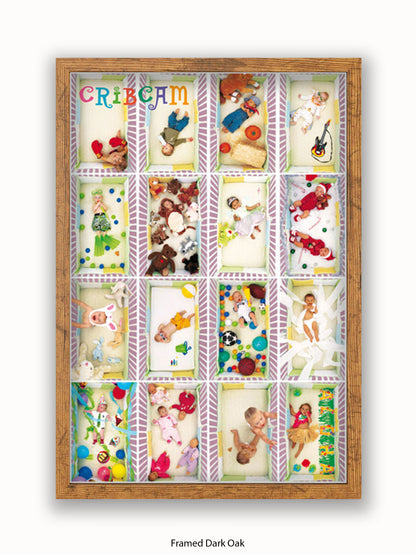 Crib Cam Poster