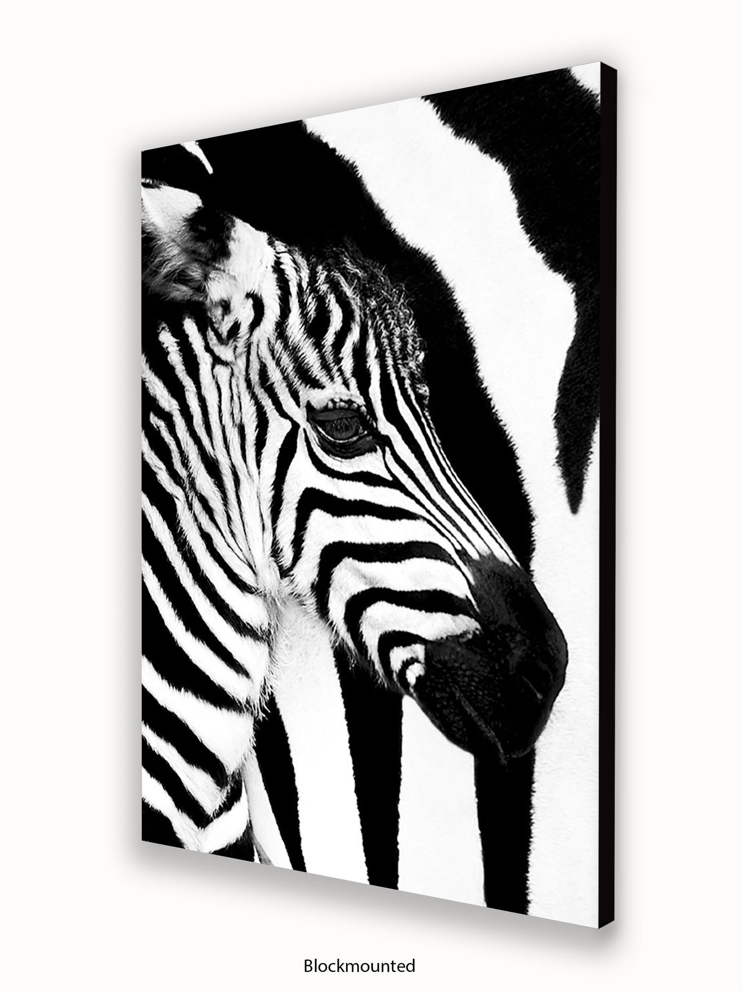Zebra Mare & Foal Poster