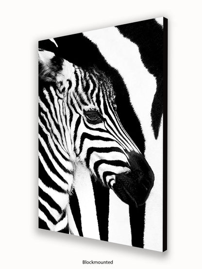 Zebra Mare & Foal Poster