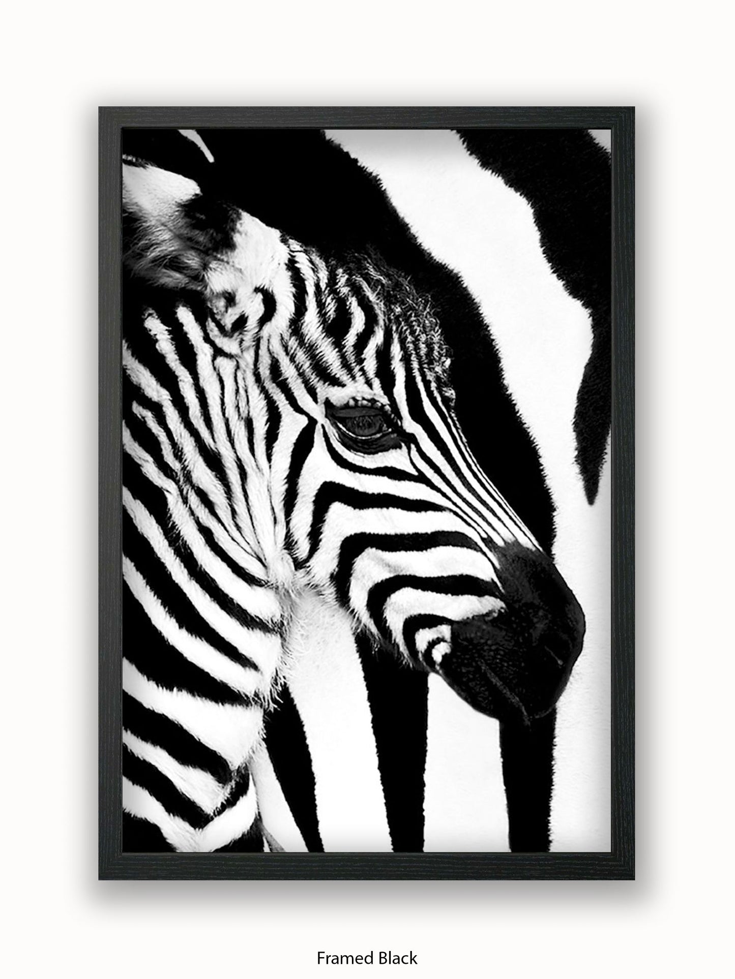 Zebra Mare & Foal Poster