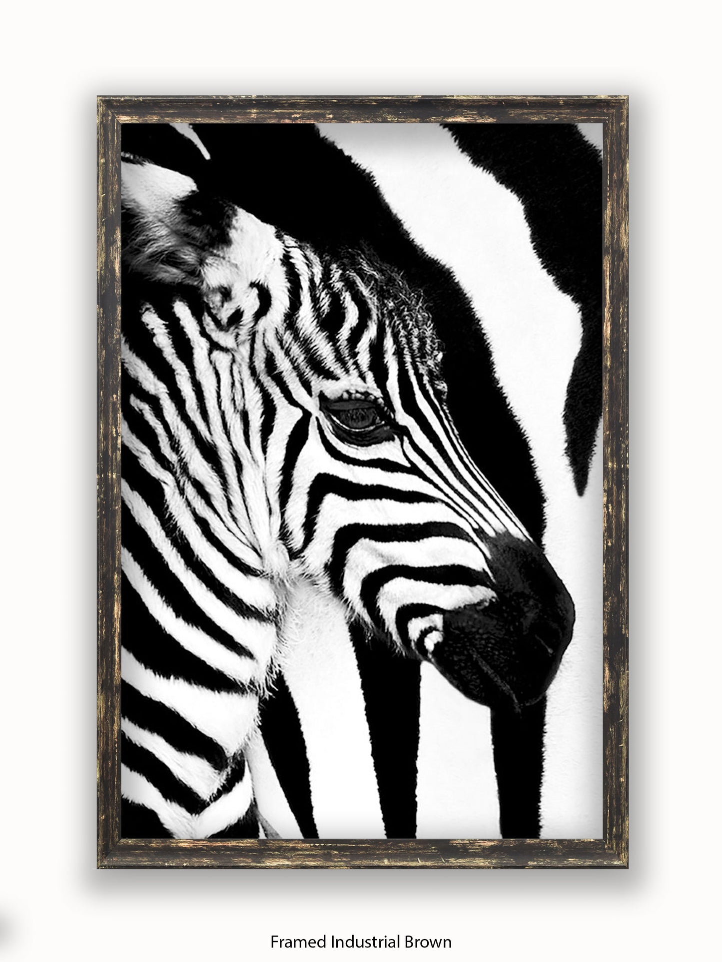 Zebra Mare & Foal Poster